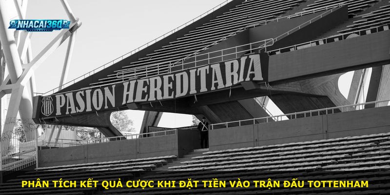 Phân tích kết quả cược khi đặt tiền vào trận đấu Tottenham